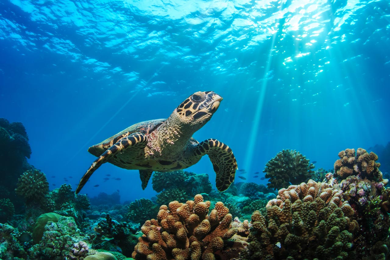 Environmental protection is important - join us!