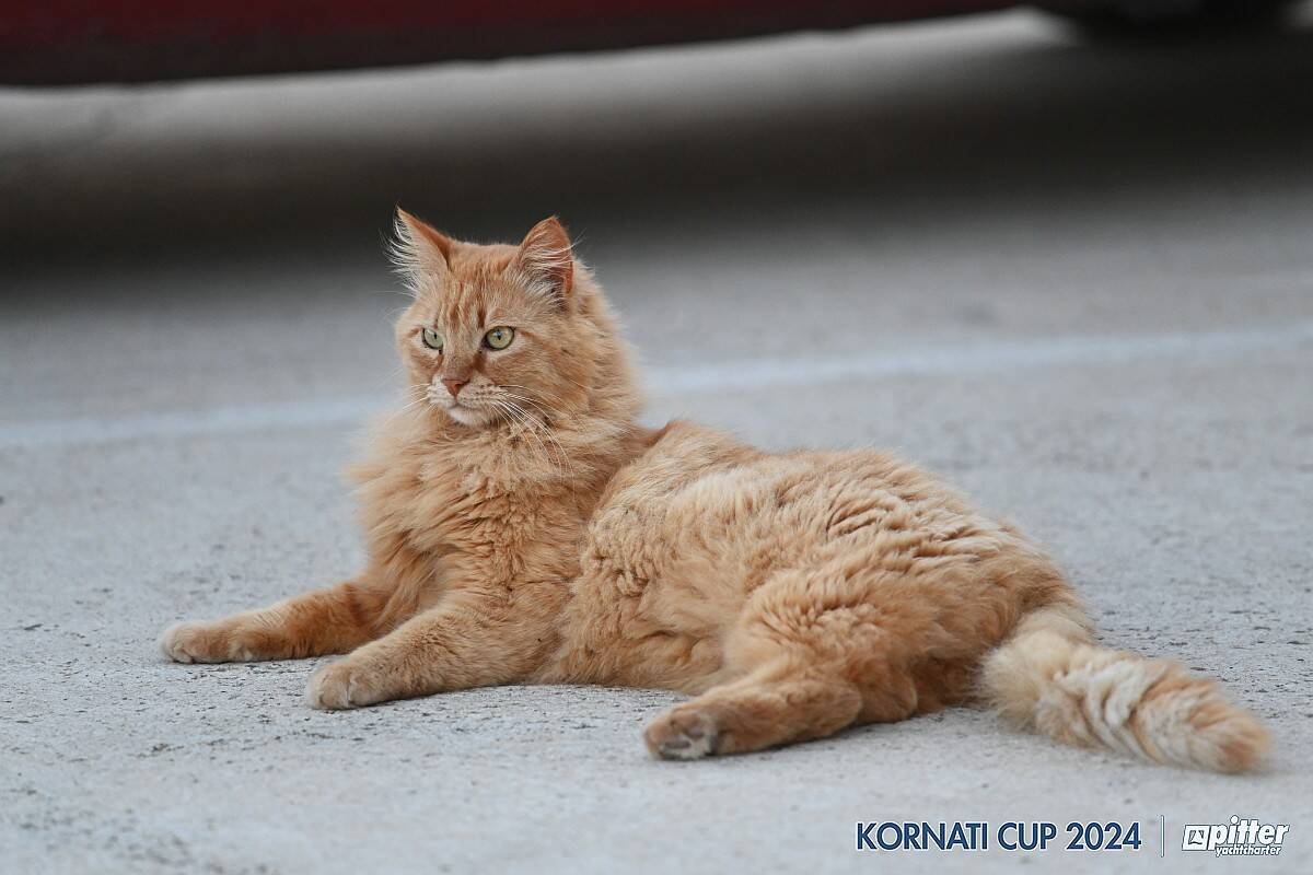 1st Regatta Day Biograd - Sali