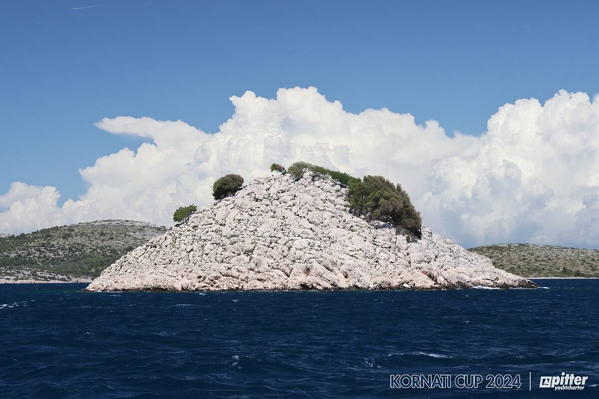 4th Regatta day Žut - Biograd