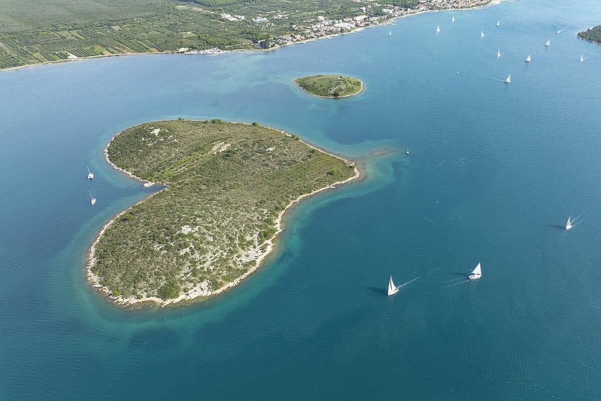 Domenica Biograd - Polesana