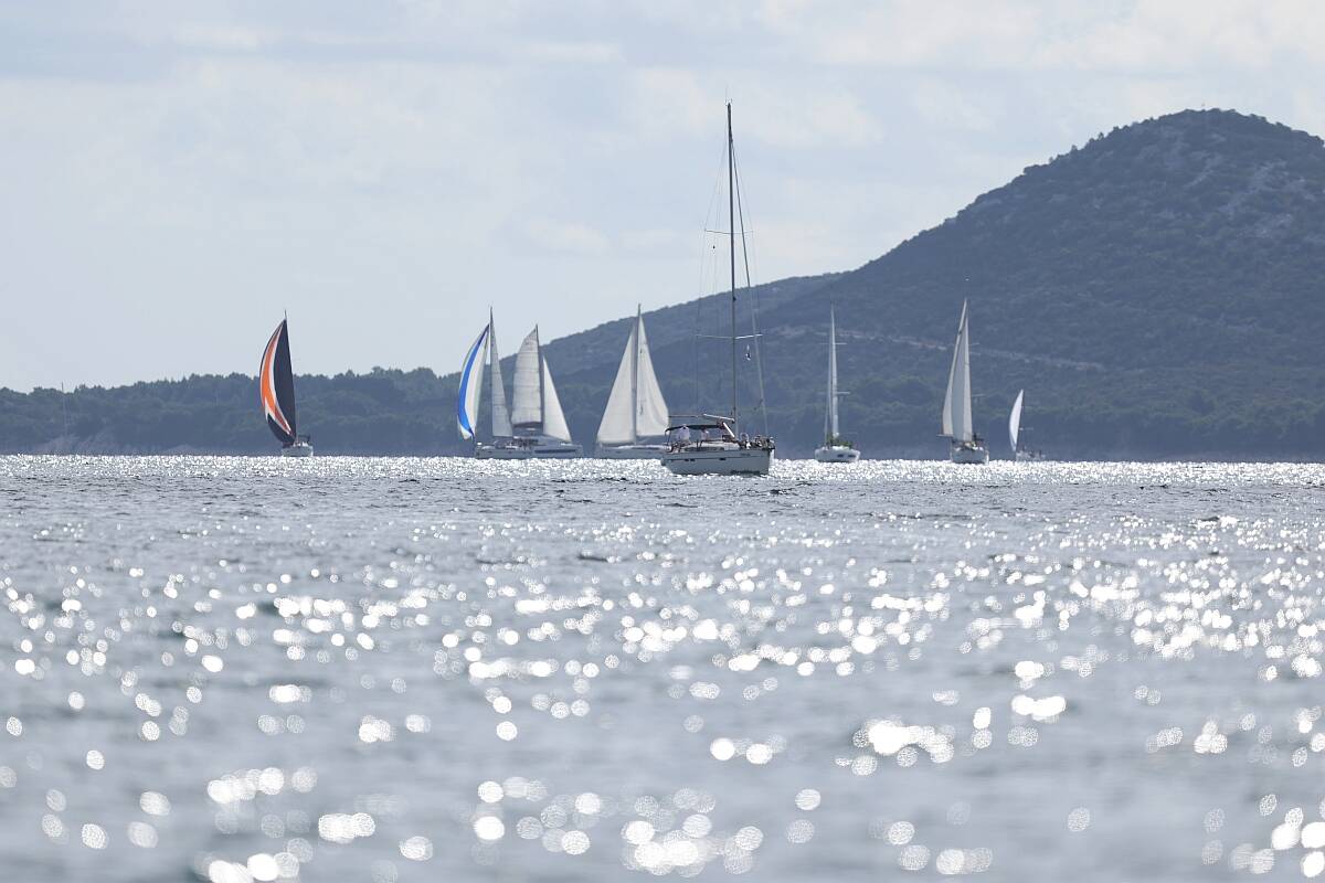 Domenica Biograd - Polesana