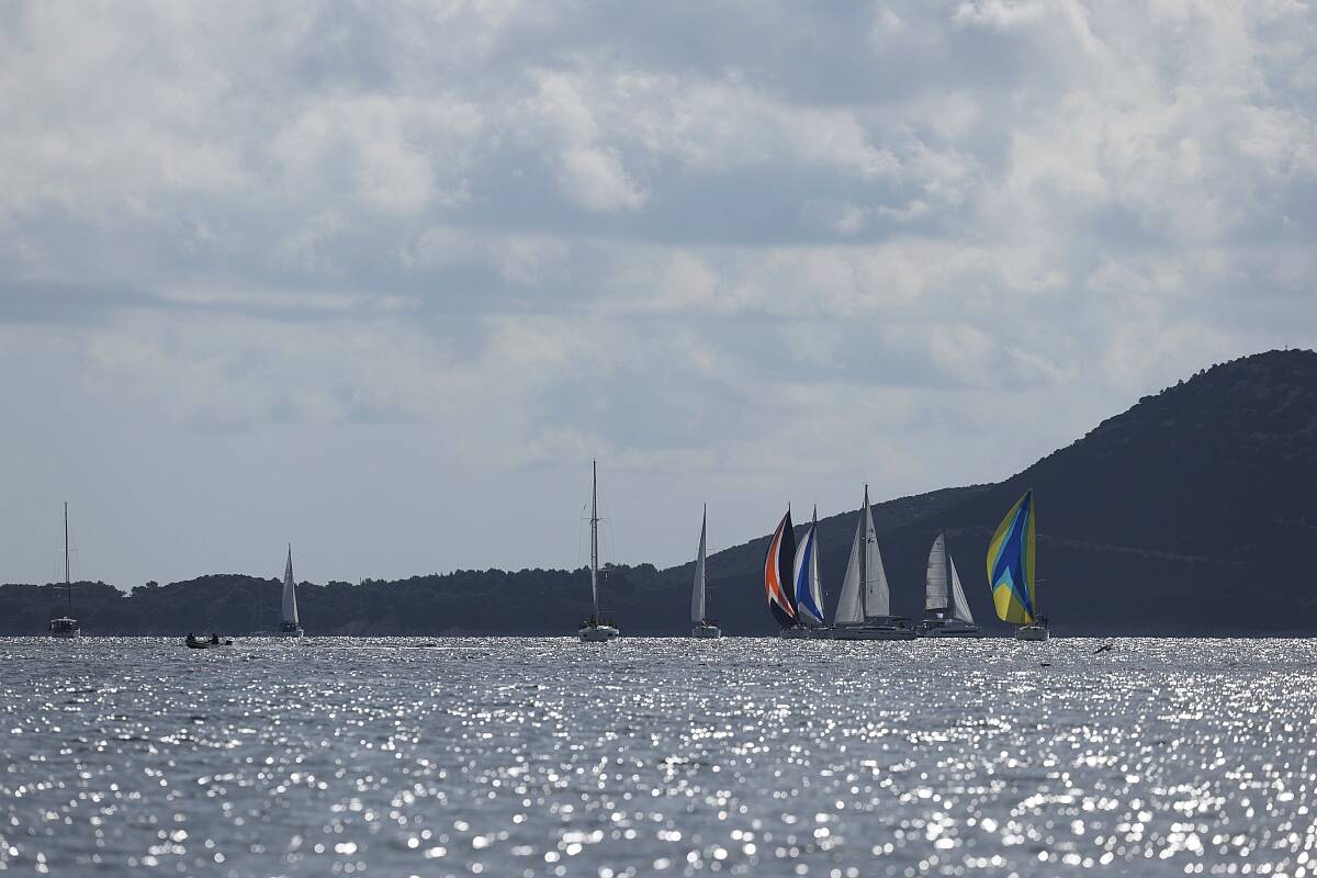 Domenica Biograd - Polesana