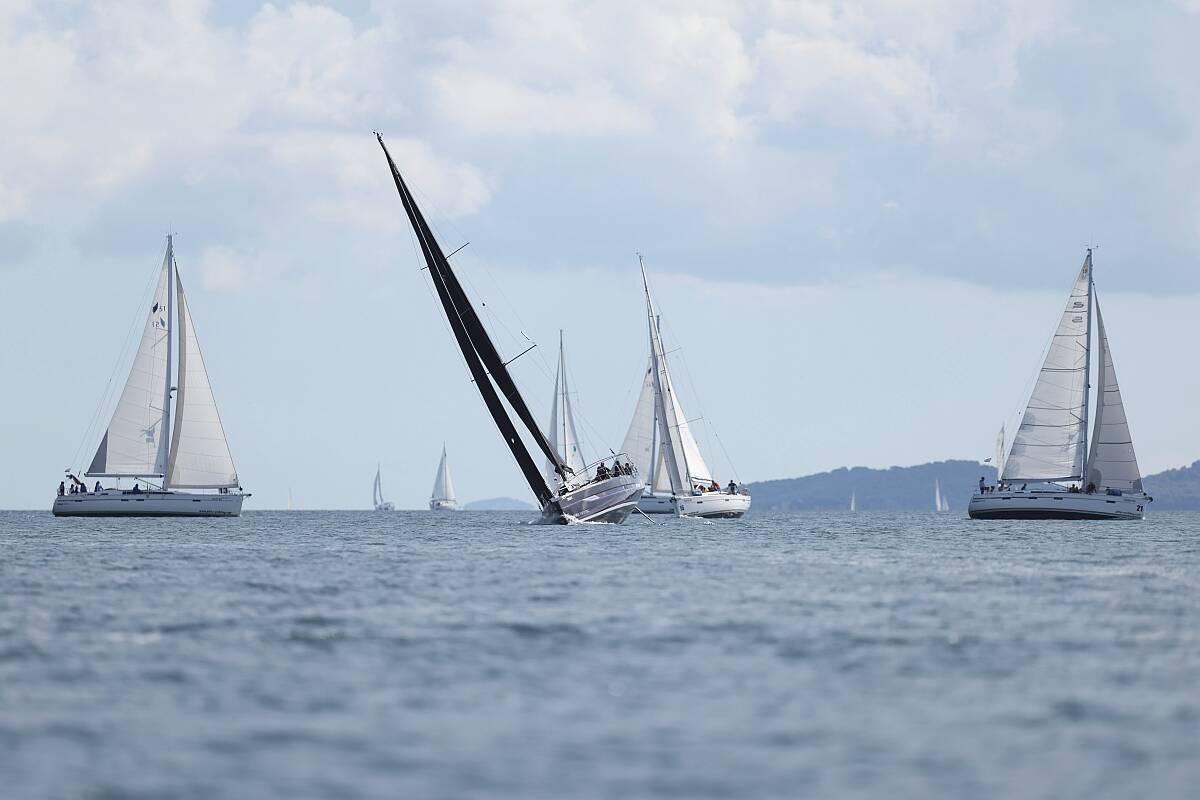 Domenica Biograd - Polesana