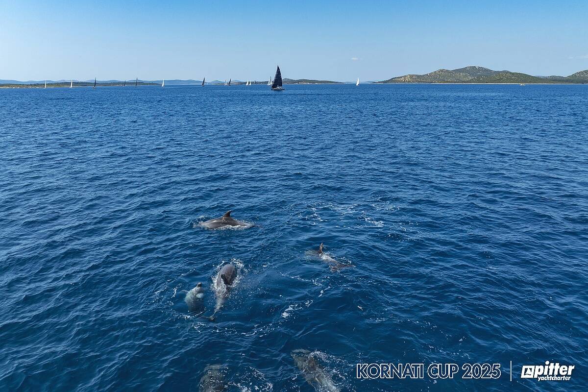 Lunedì, 1° giorno di regata