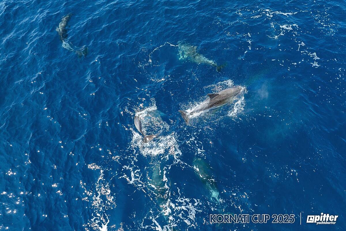 Lunedì, 1° giorno di regata