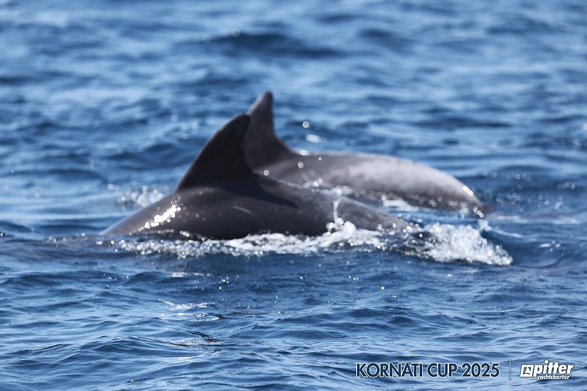 Lunedì, 1° giorno di regata