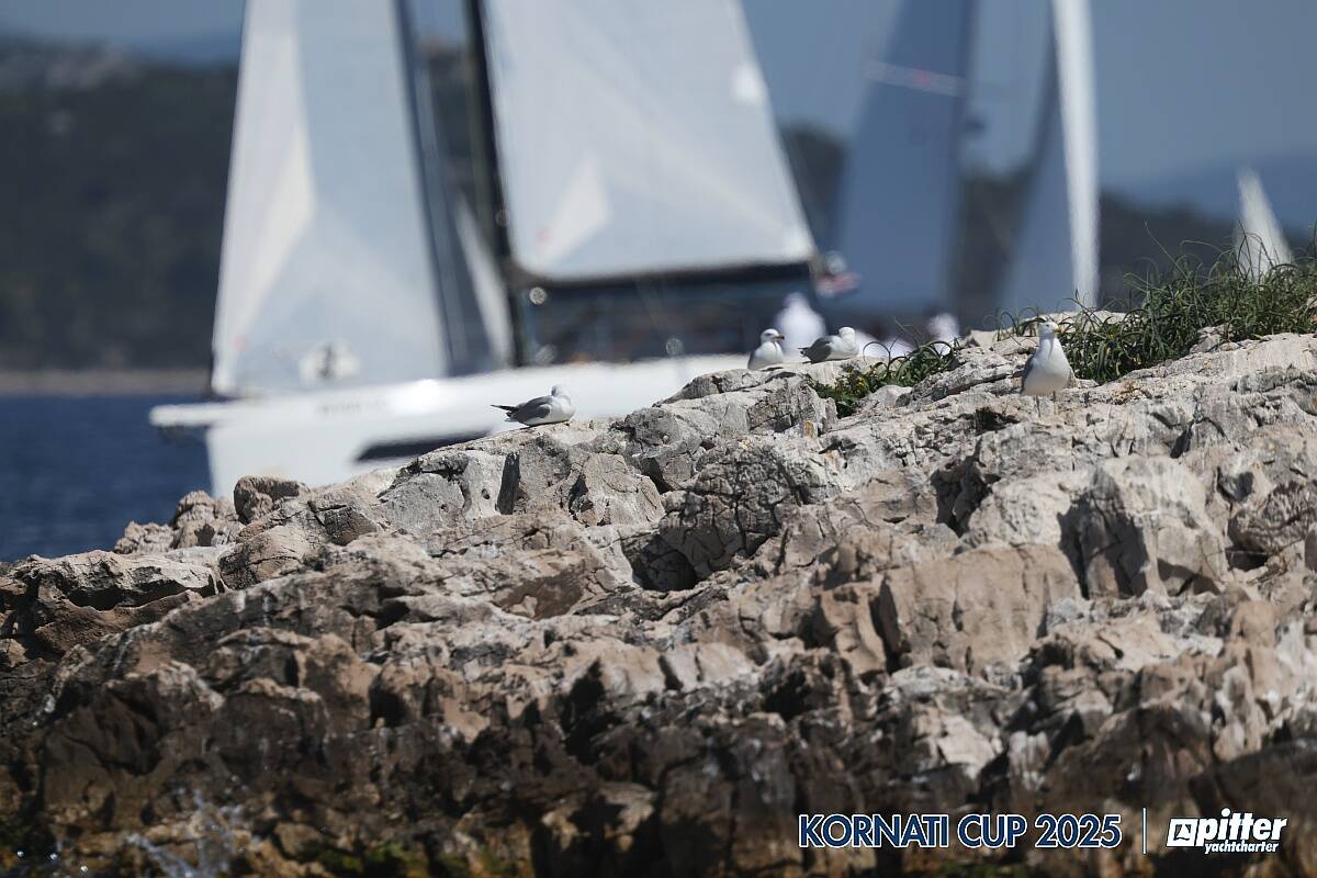 Lunedì, 1° giorno di regata
