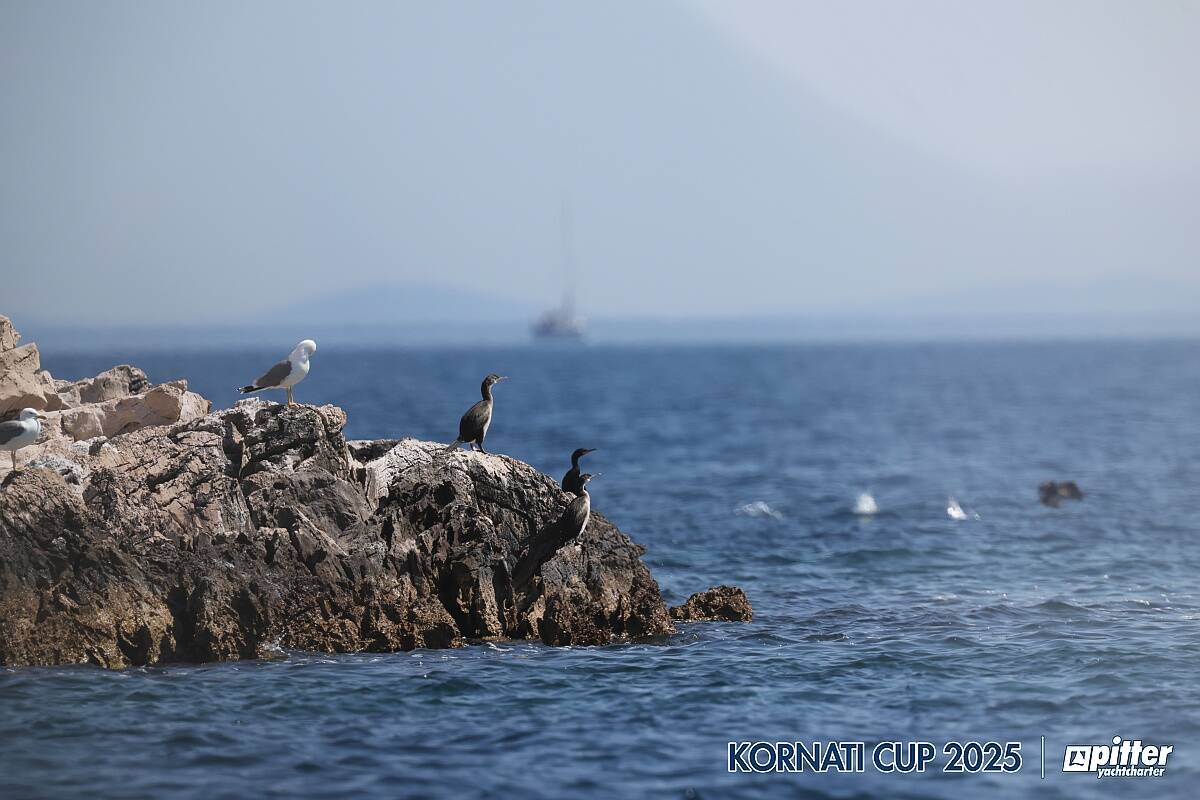 Lunedì, 1° giorno di regata