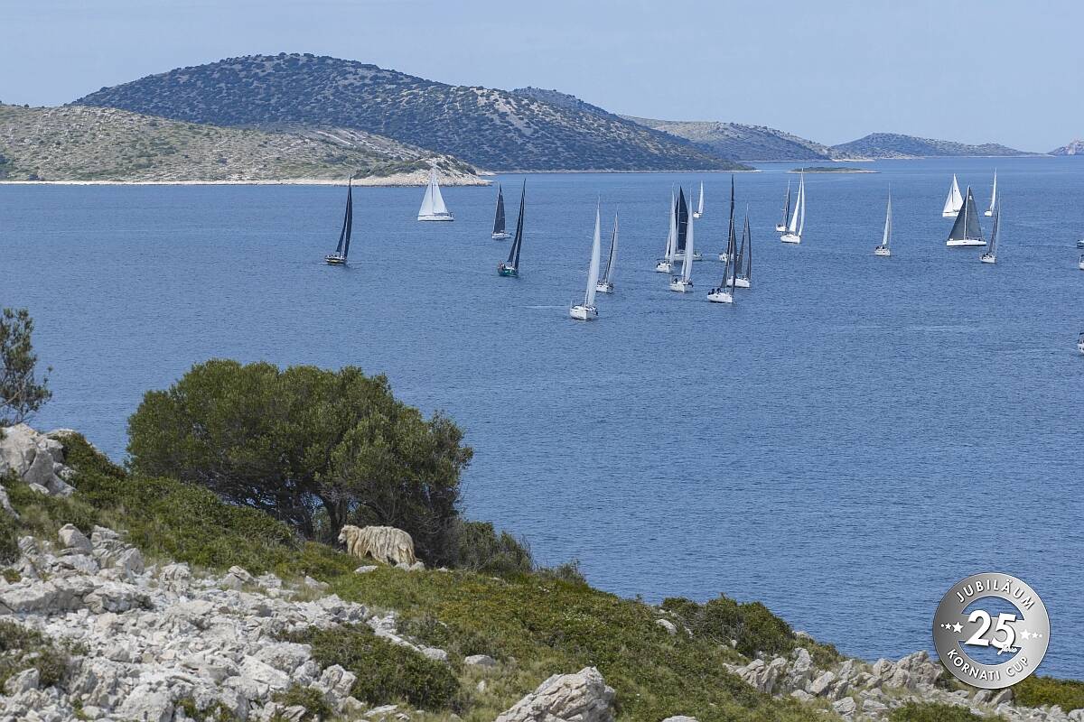 Mittwoch, 3. Regattatag