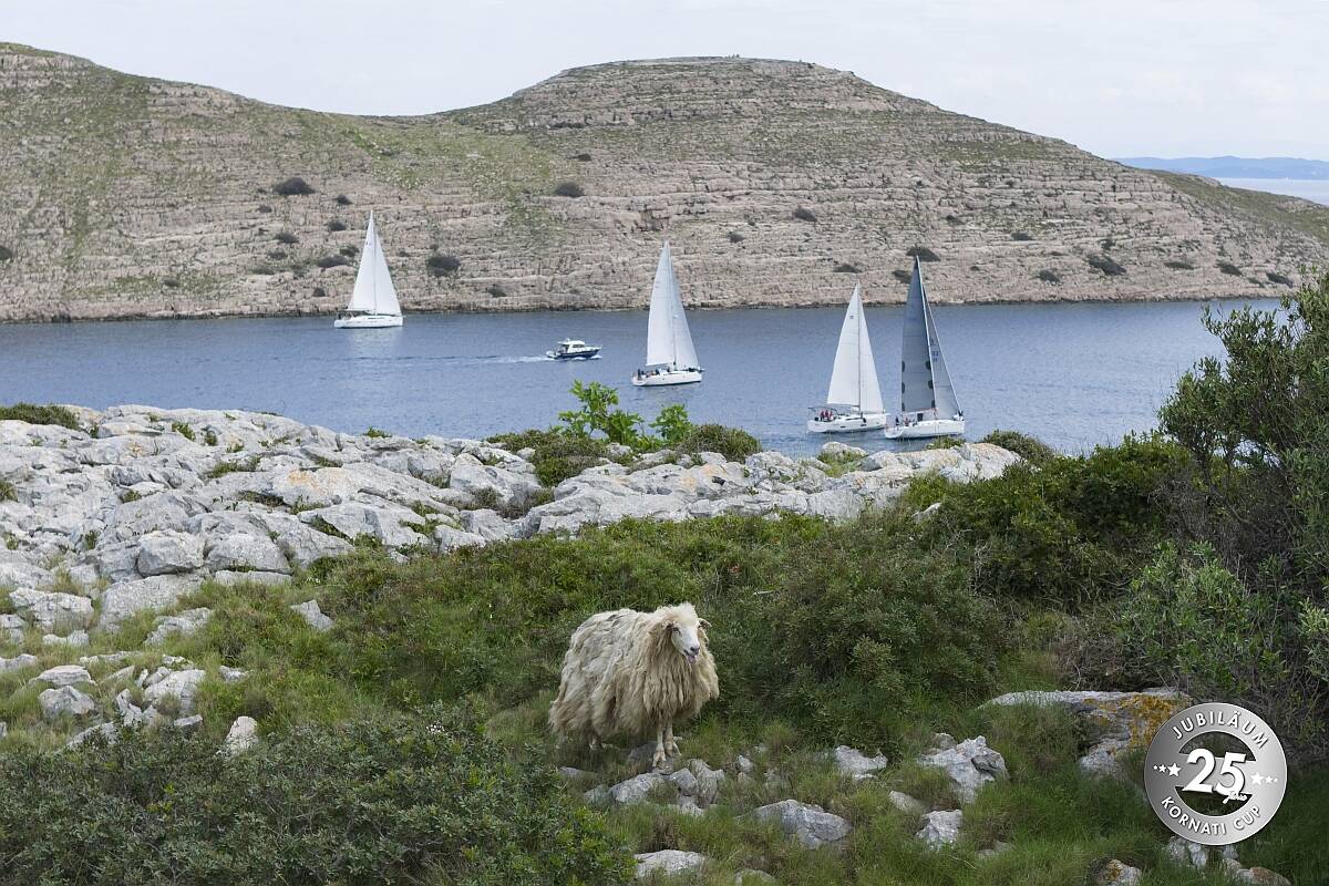 Mittwoch, 3. Regattatag