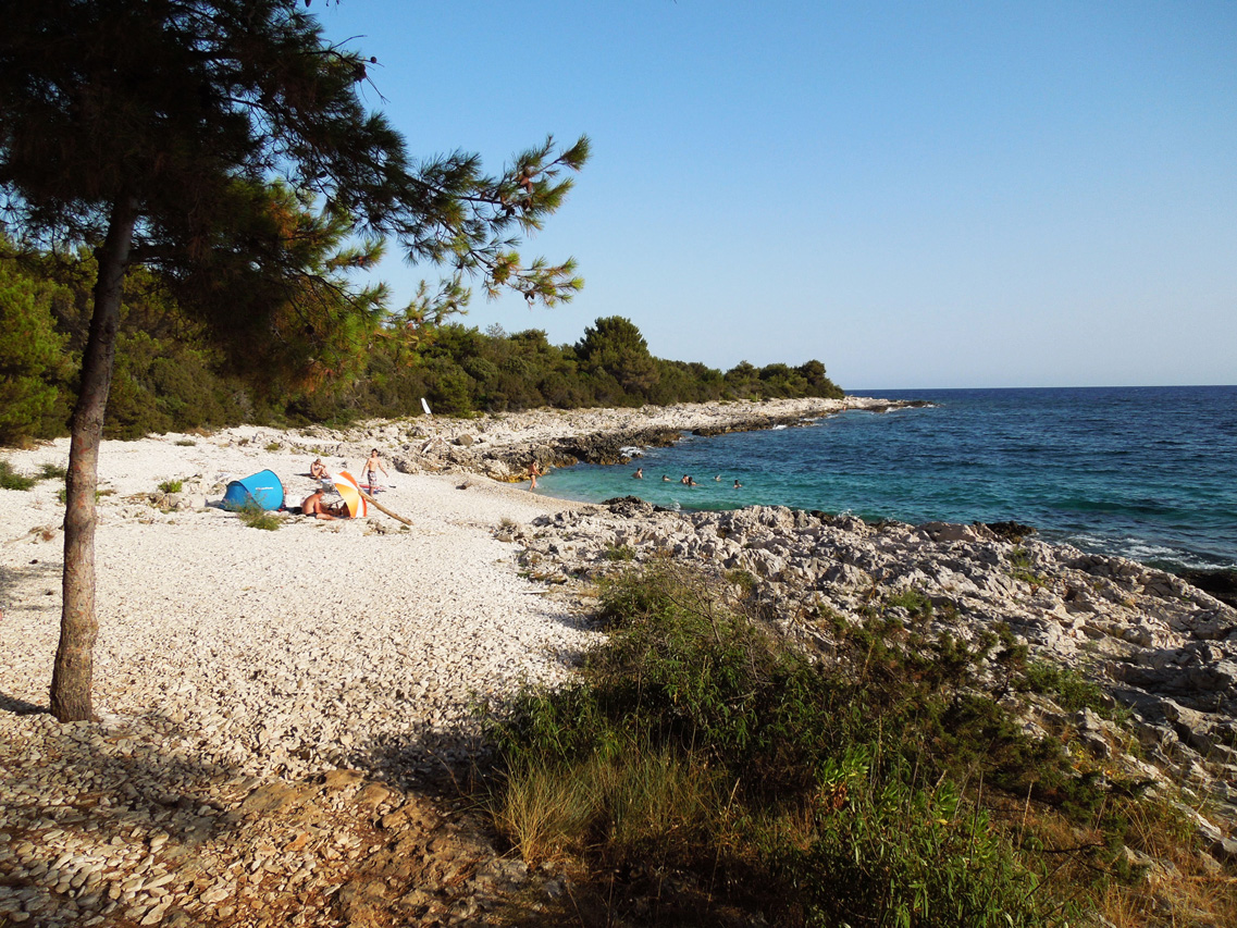 Dugi Otok, Veli Rat, Pantera