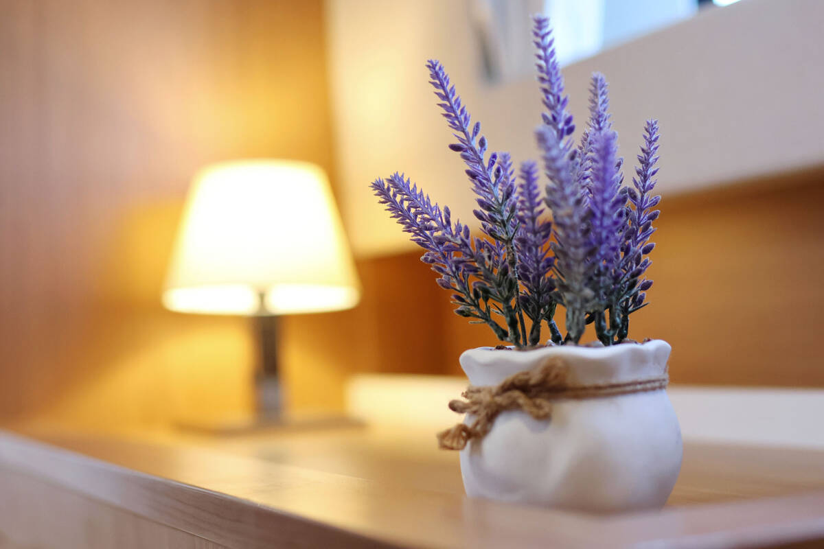 Bali Catsmart OW Le Petite Prince - OW